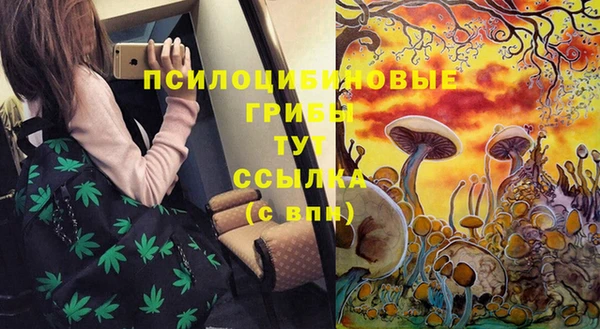 mdpv Заволжье