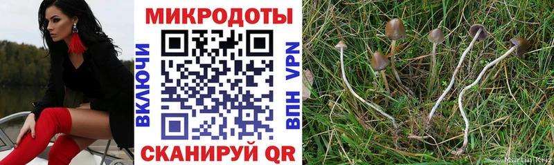 Галлюциногенные грибы мухоморы  закладка  Салехард 
